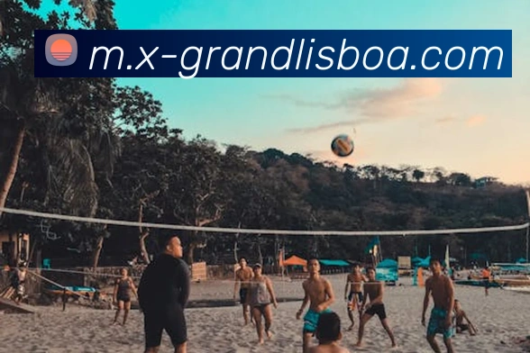 澳门新葡京娱乐服务体系